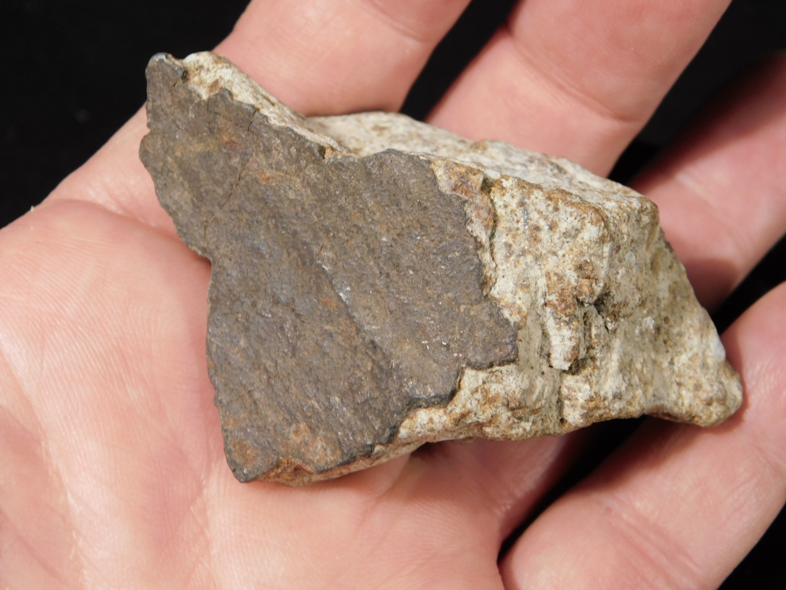 Classified NWA 8245 METEORITE 100% Natural FELL on Erfoud, Morocco 110gr