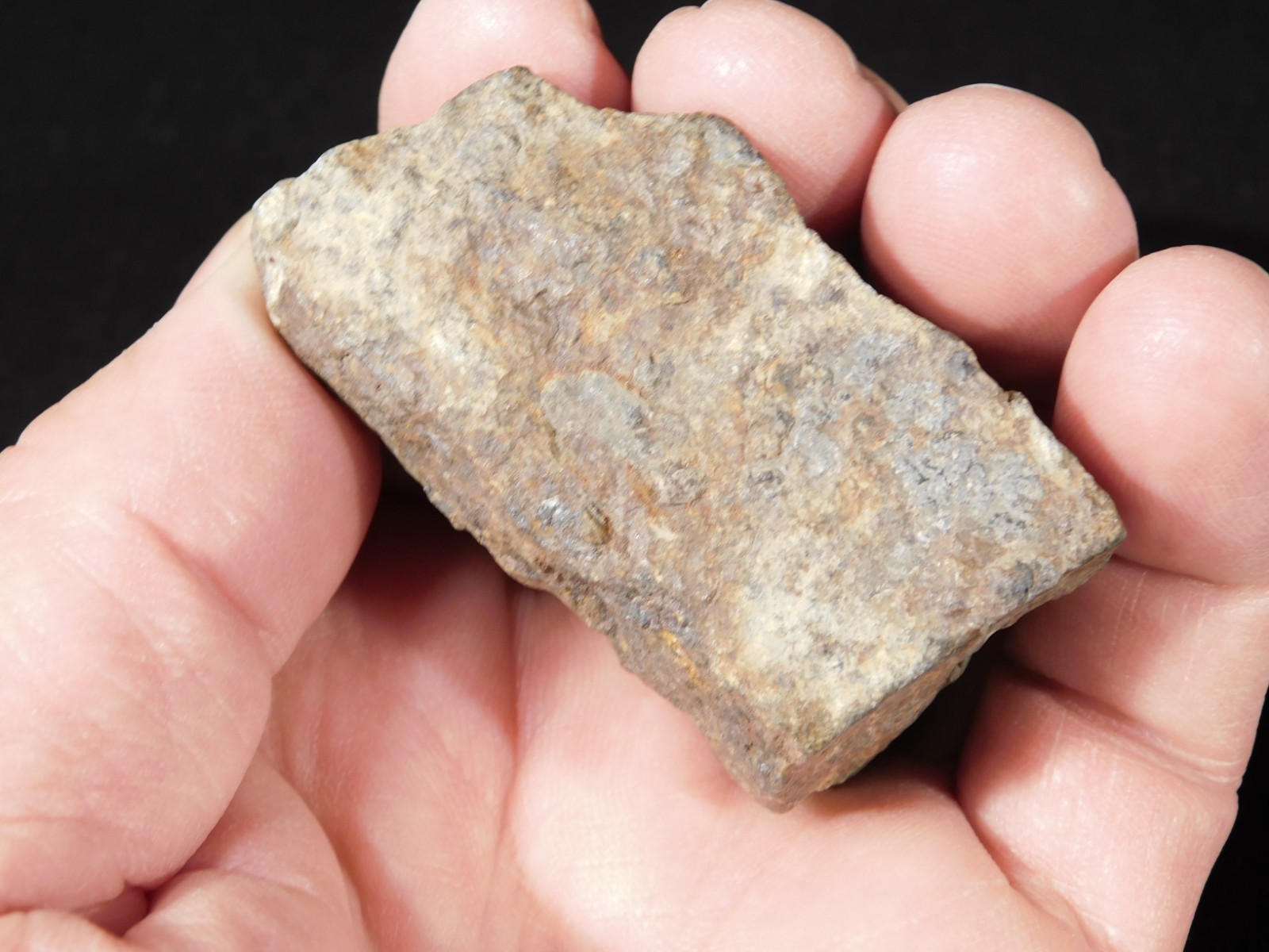 Classified NWA 8245 METEORITE 100% Natural FELL on Erfoud, Morocco 92.7gr