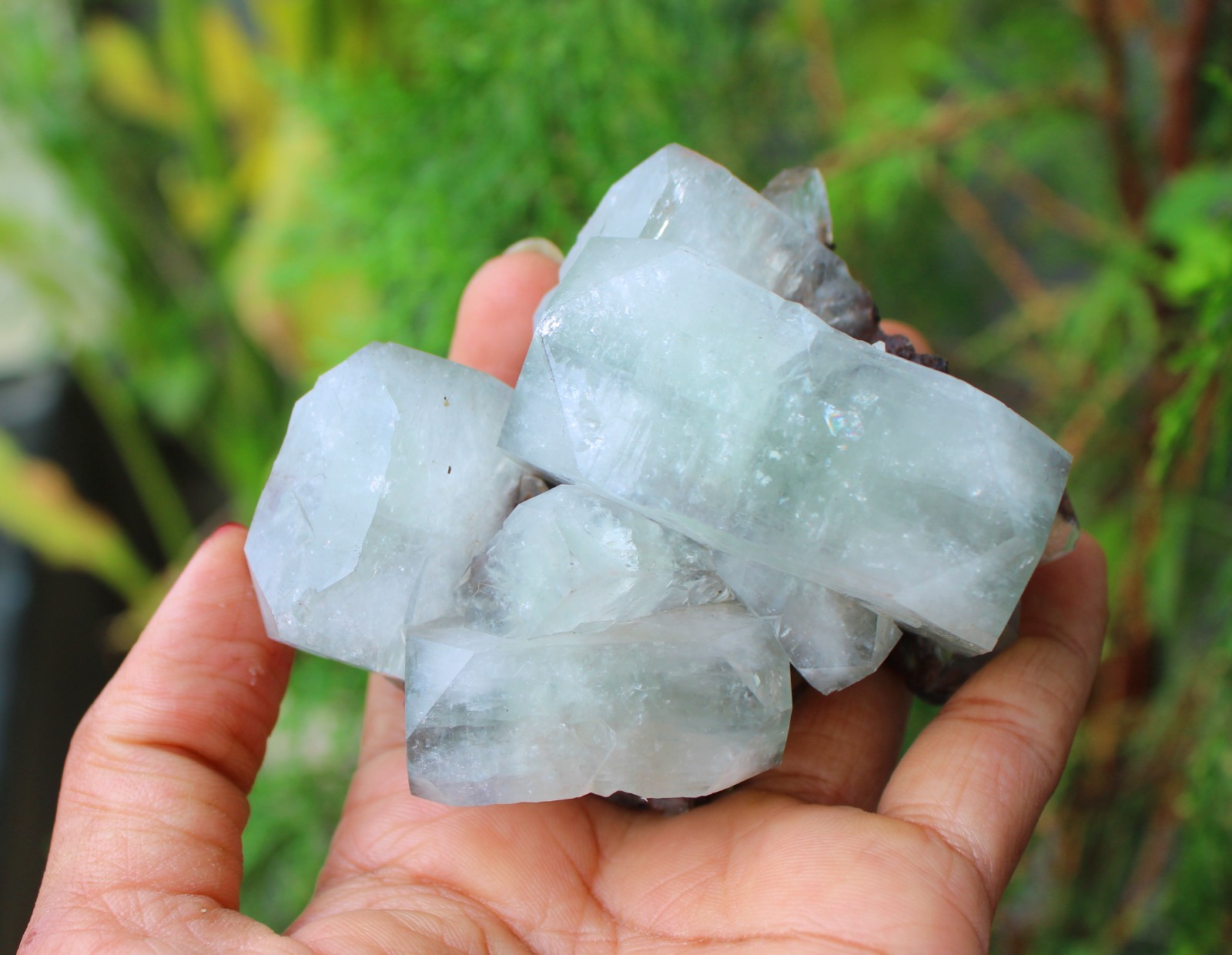 GREEN APOPHYLLITE CRYSTALS MINERALS SPECIMEN