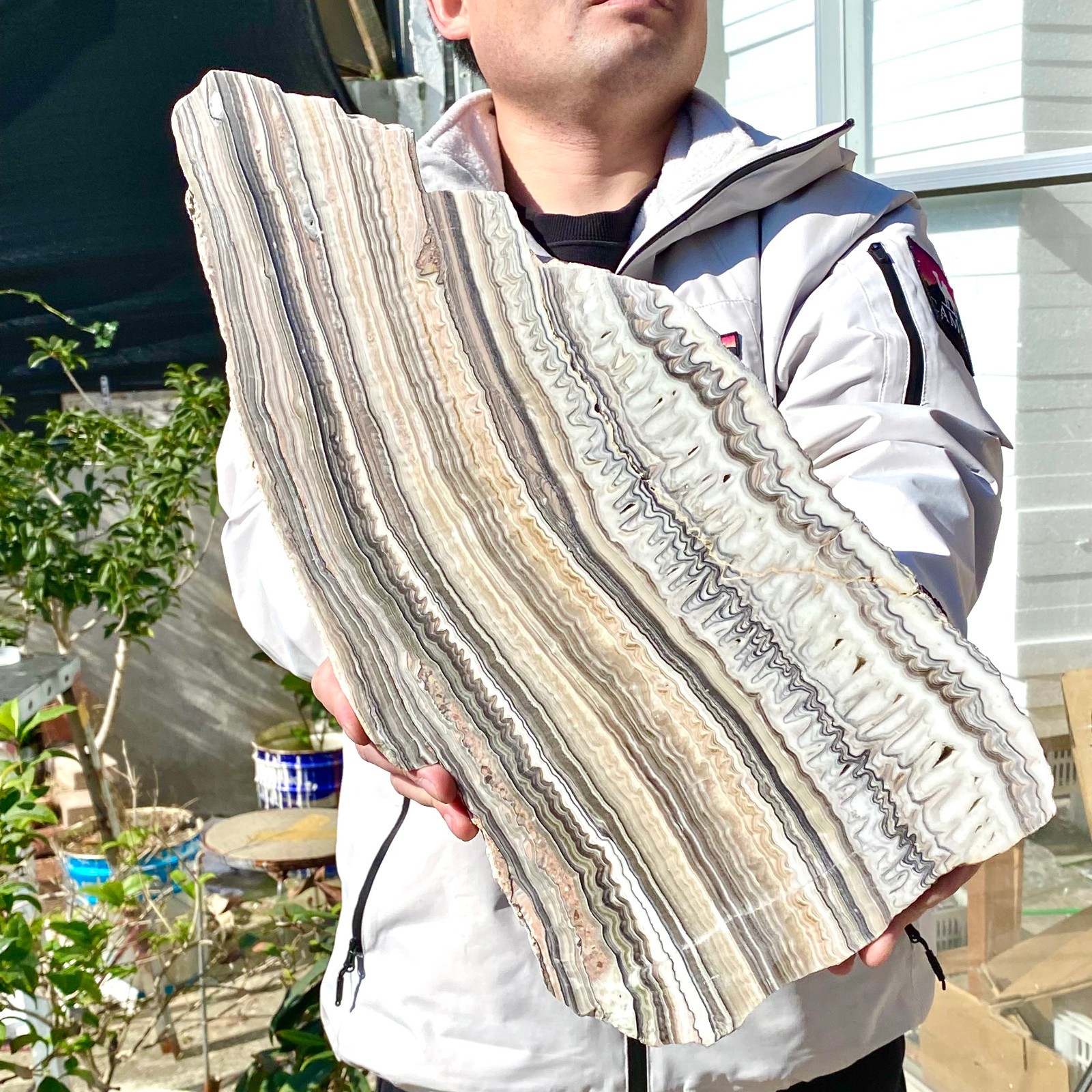 6LB Natural agate, zebra stone, crystal mineral, cut and polished in flakes