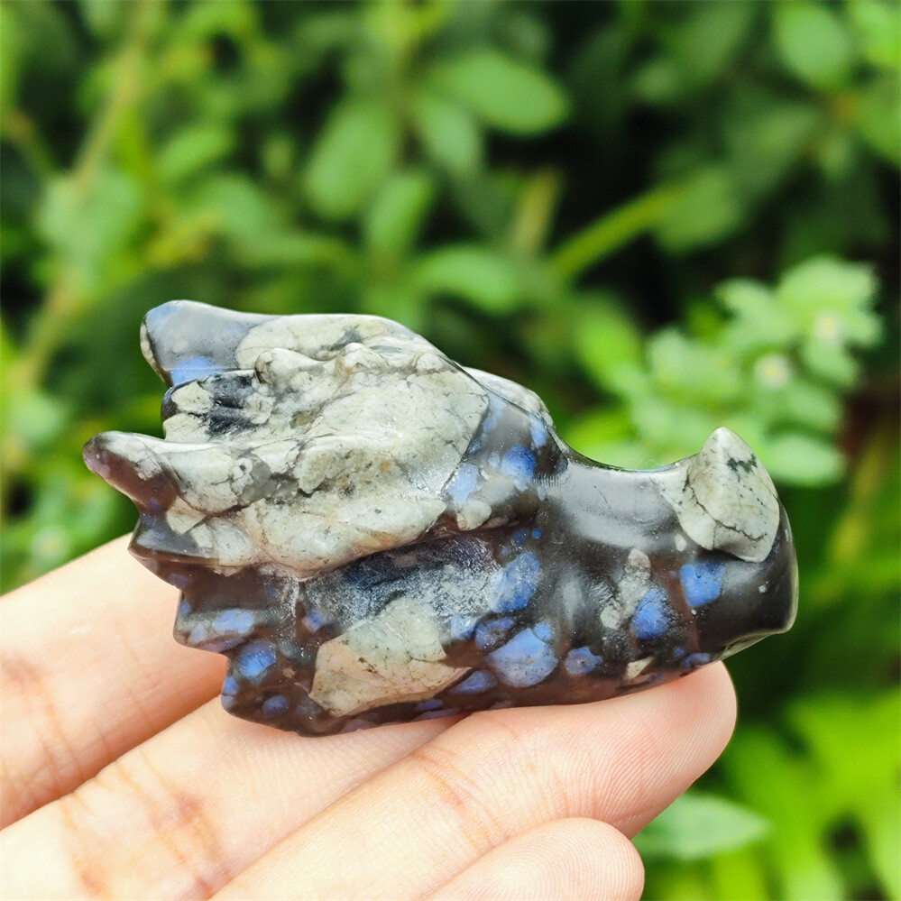 2″ Natural Hand Carved Dragon Skull Quartz Crystal Skull Gem Reiki Healing 1PC