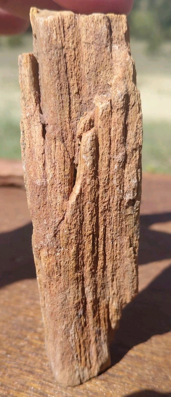 Petrified Wood Fossilized Twisted Branch Bark Druzy Quartz 1/4Lb – 4 1/2″×1 1/4″