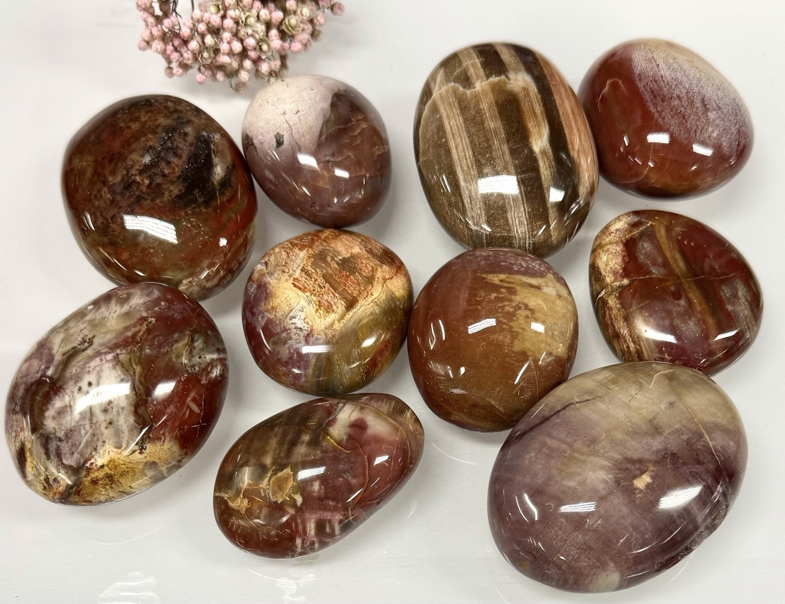 Wholesale Lot 2 Lbs Natural Petrified Wood Palm Stone Crystal Healing