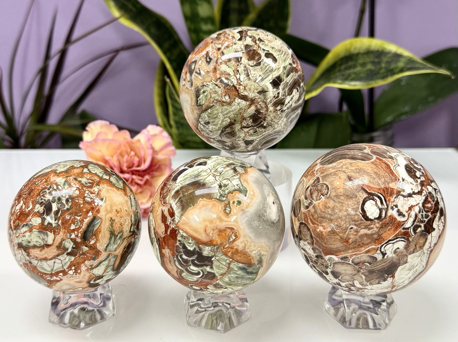 Wholesale Lot 4-5 Pcs Natural Money Agate Spheres Crystal Ball 2.8-3Lbs