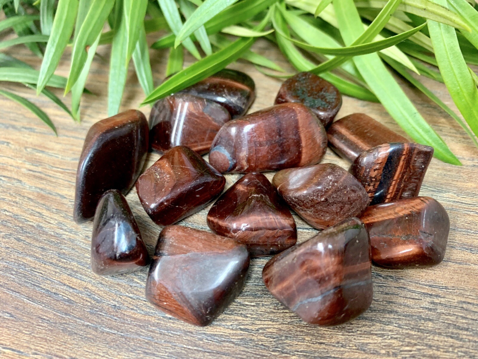 1/2 lb Red Tiger Iron Tumbled Stones Crystal Therapy Gemstone Specimen Reiki.