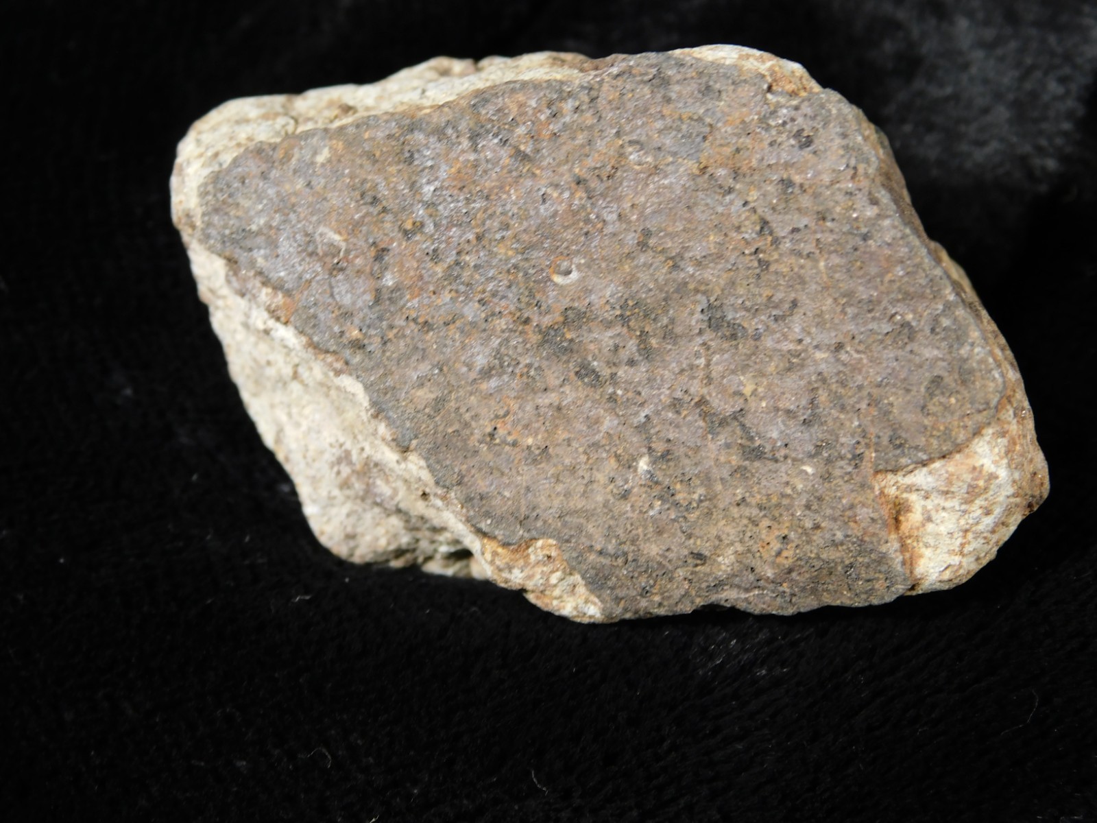 Classified NWA 8245 METEORITE 100% Natural FELL on Erfoud, Morocco 68.0gr