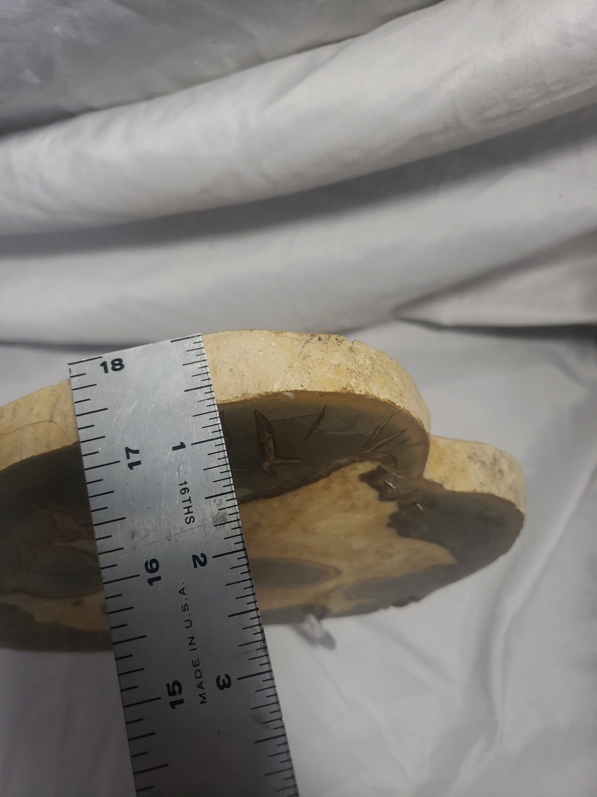 Large Septarian Nodule Specimen from Utah 10″x9″ 3 pounds 13 ounces (1708g)