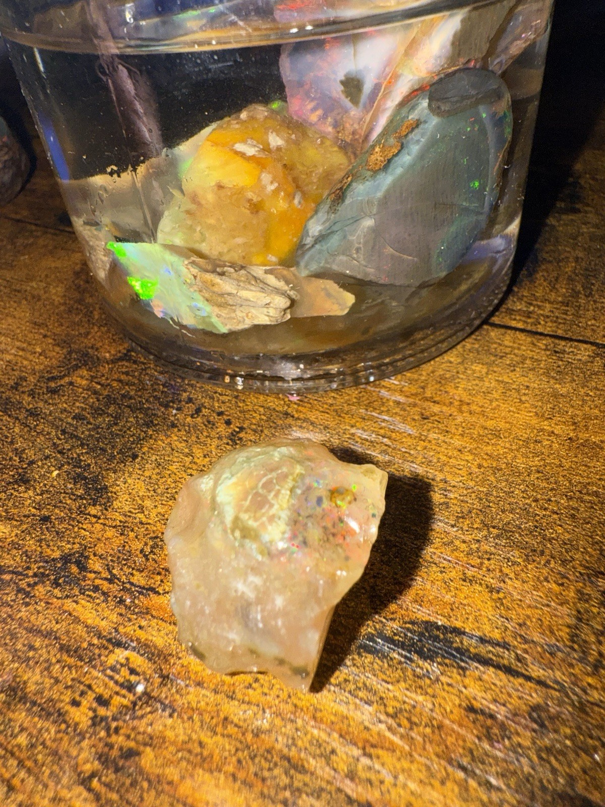 Specimen Rough Opal Stones in Jar – Ethiopian Rough, Multiple Mixed-Color Pieces