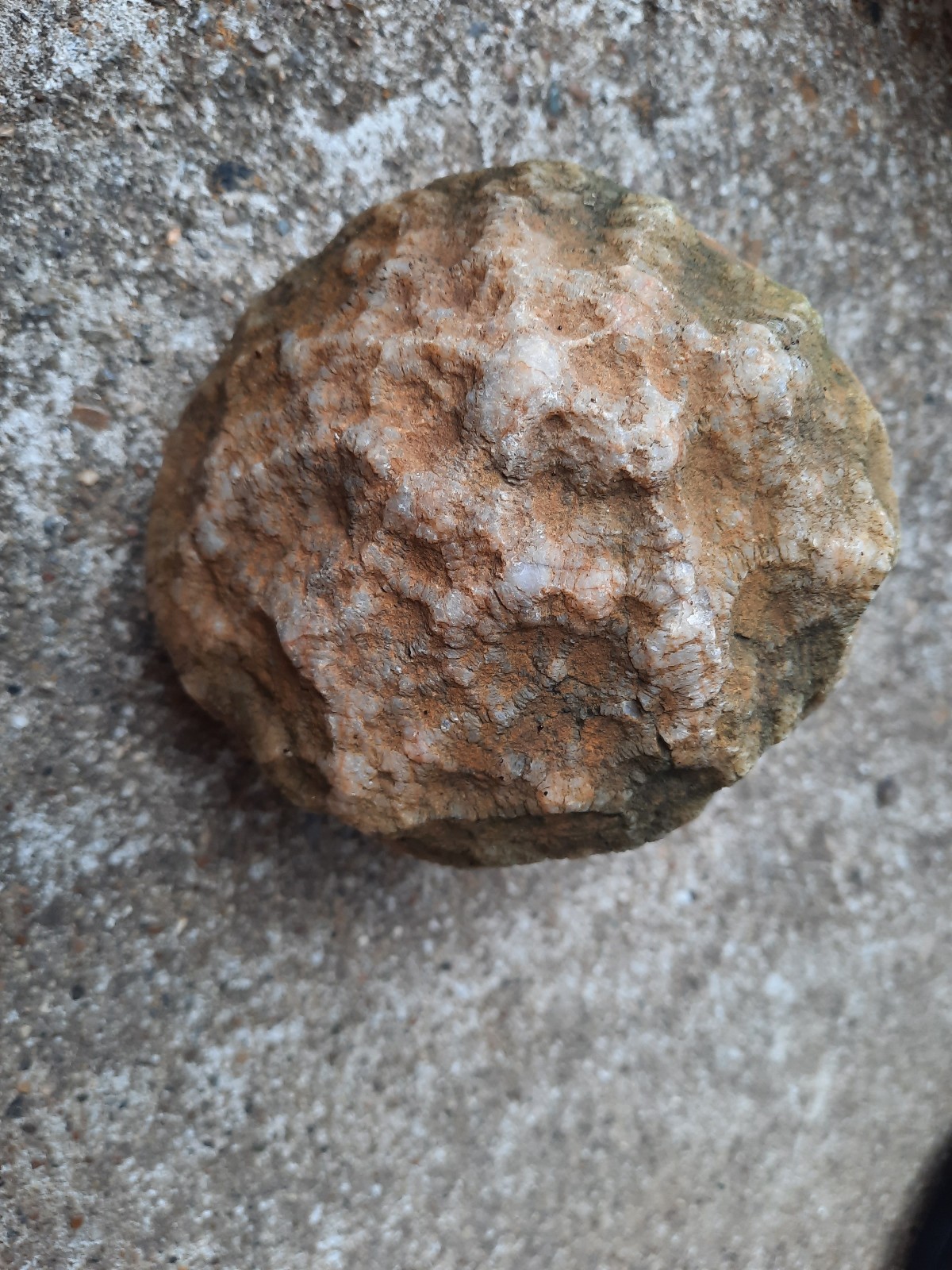 4″ Unopened Southern Kentucky Rattler Geode. 1 Pound