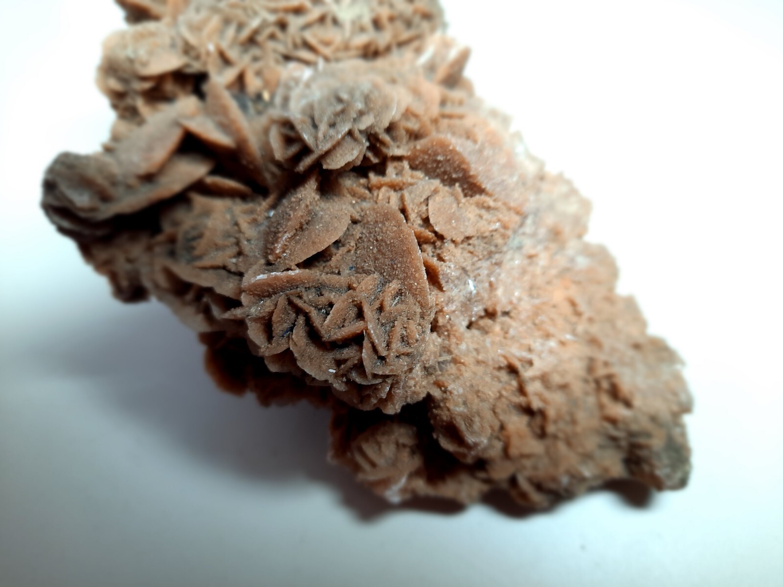 LARGE DESERT ROSE GYPSUM 6 1/4 x 3 1/2 x 2 1/4 Rock Mineral Crystal Stone