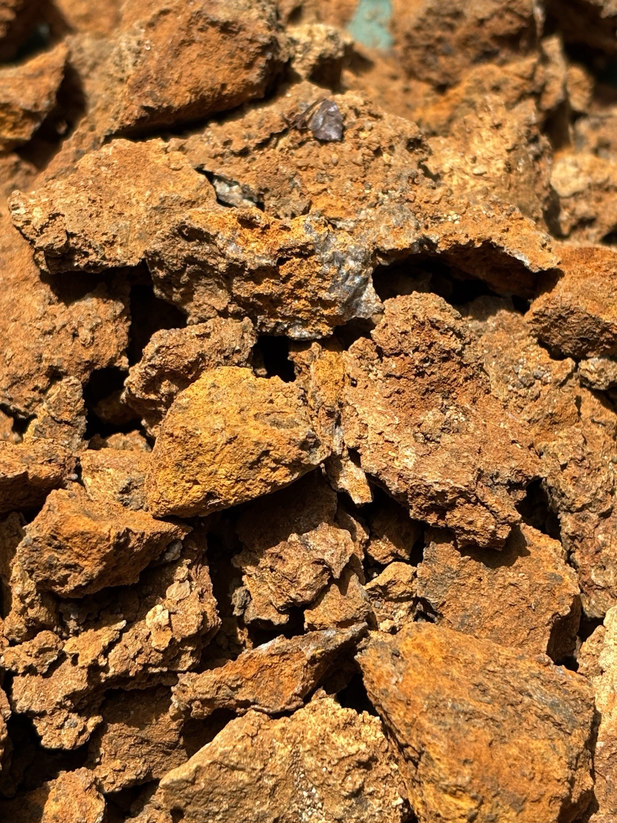 Gossan or iron cap Specimens from Ore deposit Mineral Vein in California.