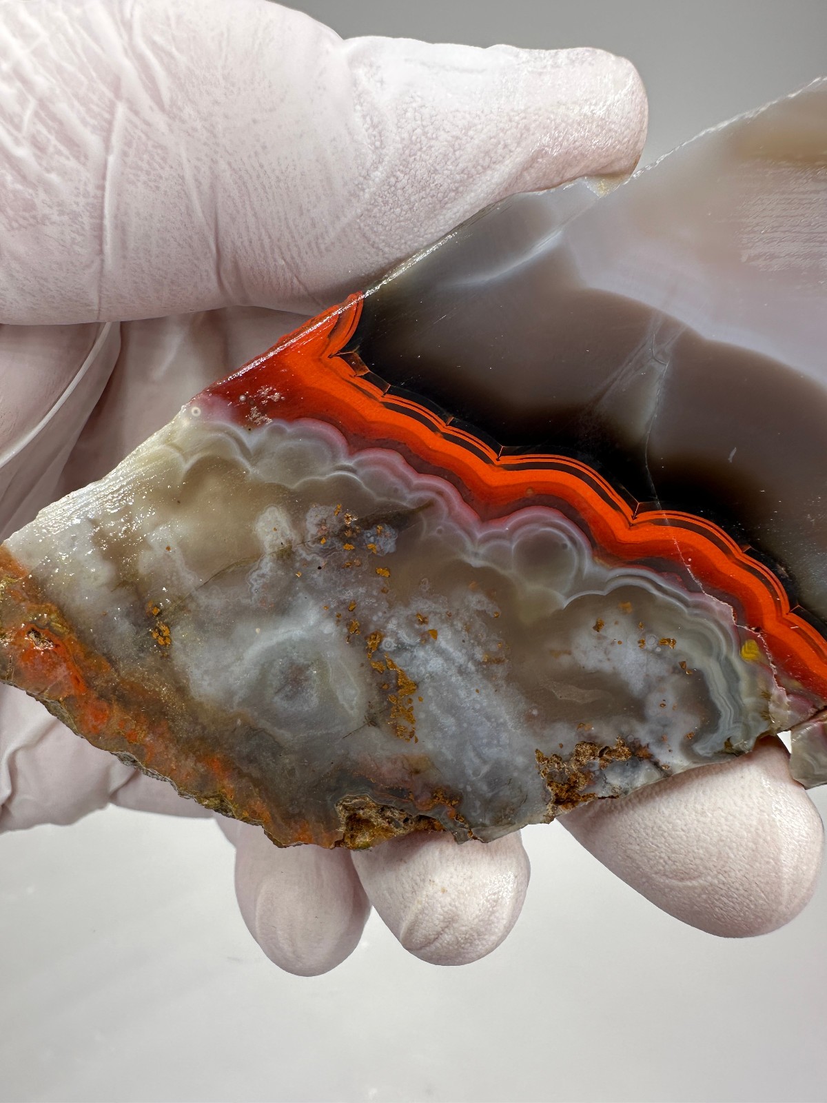 Beautiful Large Kentucky Agate Lapidary Slab from Estill County