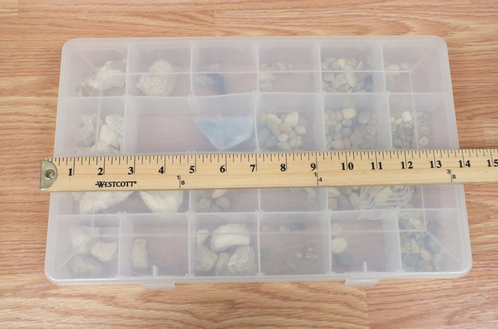 Unbranded Mixed Lot of Multi Size / Color / Texture Rock & Fossil Collection