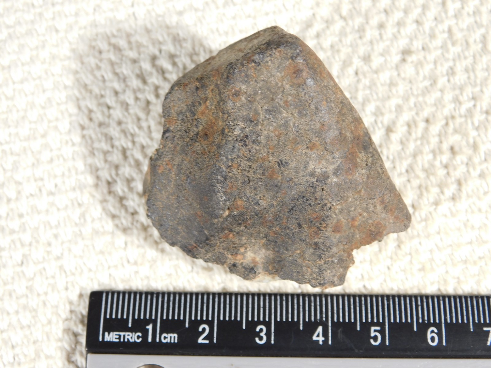 Classified NWA 8245 METEORITE 100% Natural FELL in Erfoud, Morocco 63.2gr