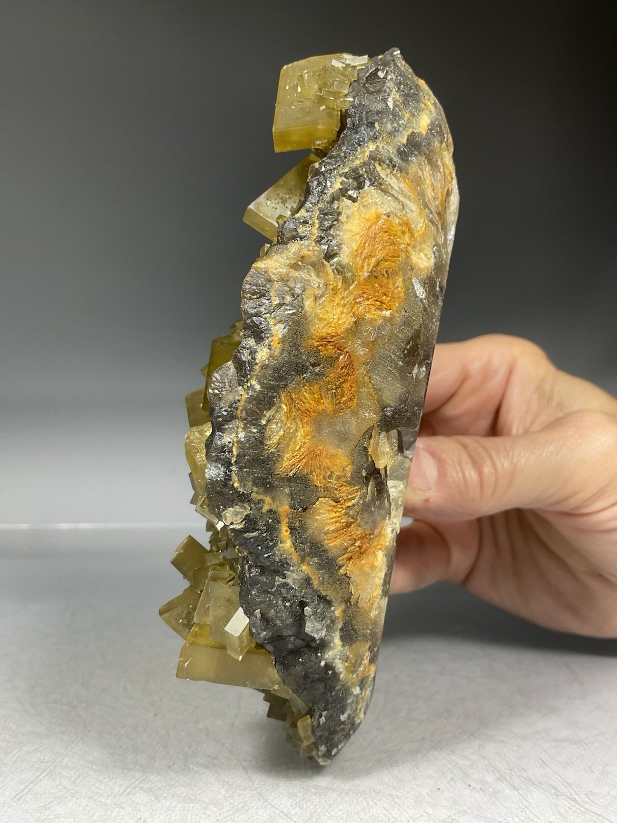 SS Rocks – Golden Barite on Fluorite (Xie Fang, Tiangxi, China) 1.42lbs