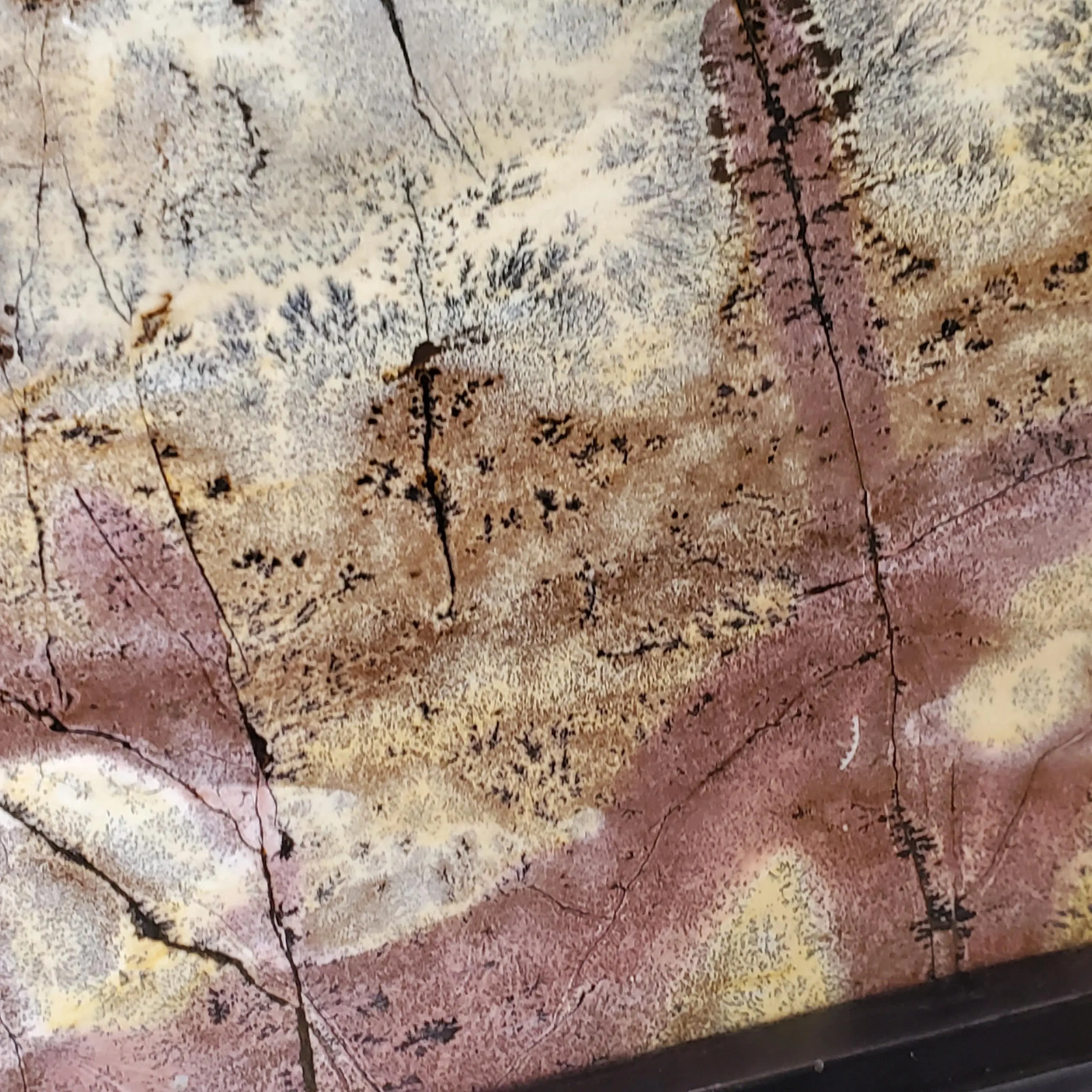 Picture Jasper Dendritic Display Crystal Statement Slab FREE Wood Stand 847 gra