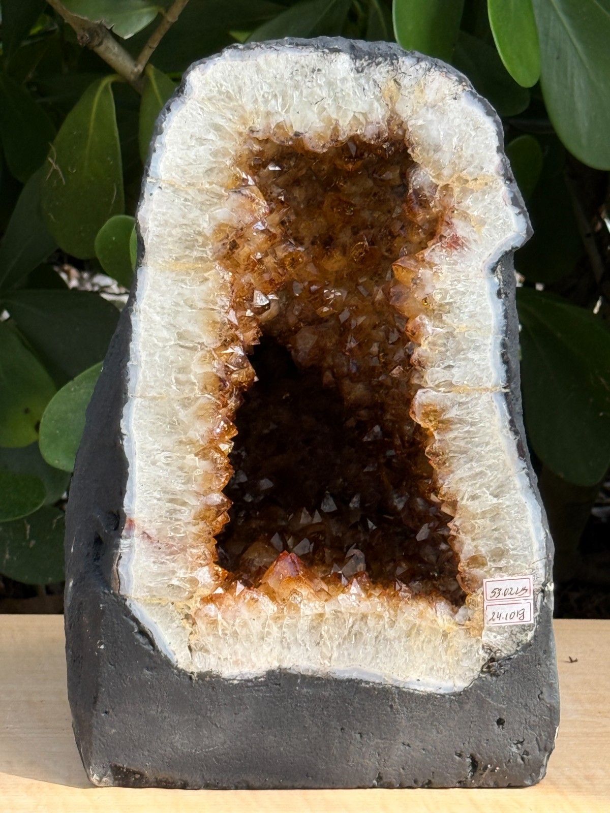 X-Large Citrine Cathedral, Citrine Geode, Honey Citrine Cluster, Pick a Weight