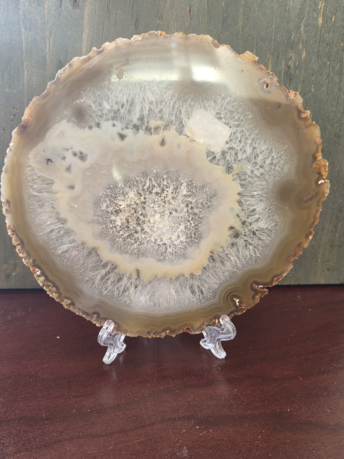 Natural Agate Geode Slab/Slice- Large Druzy quartz 6 in
