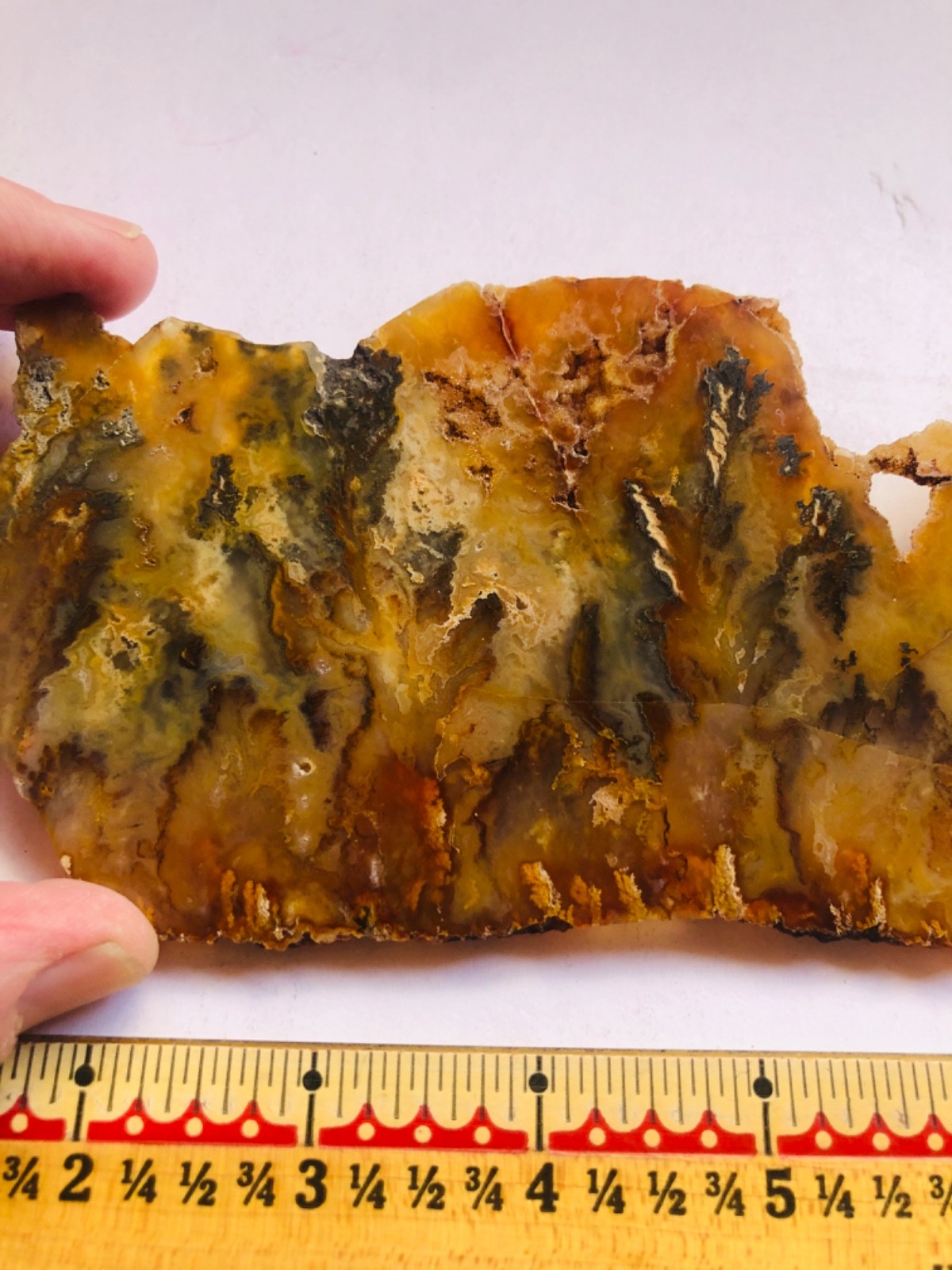 Graveyard Plume Agate Museum Grade Collectors Slab Oregon 202 Grams