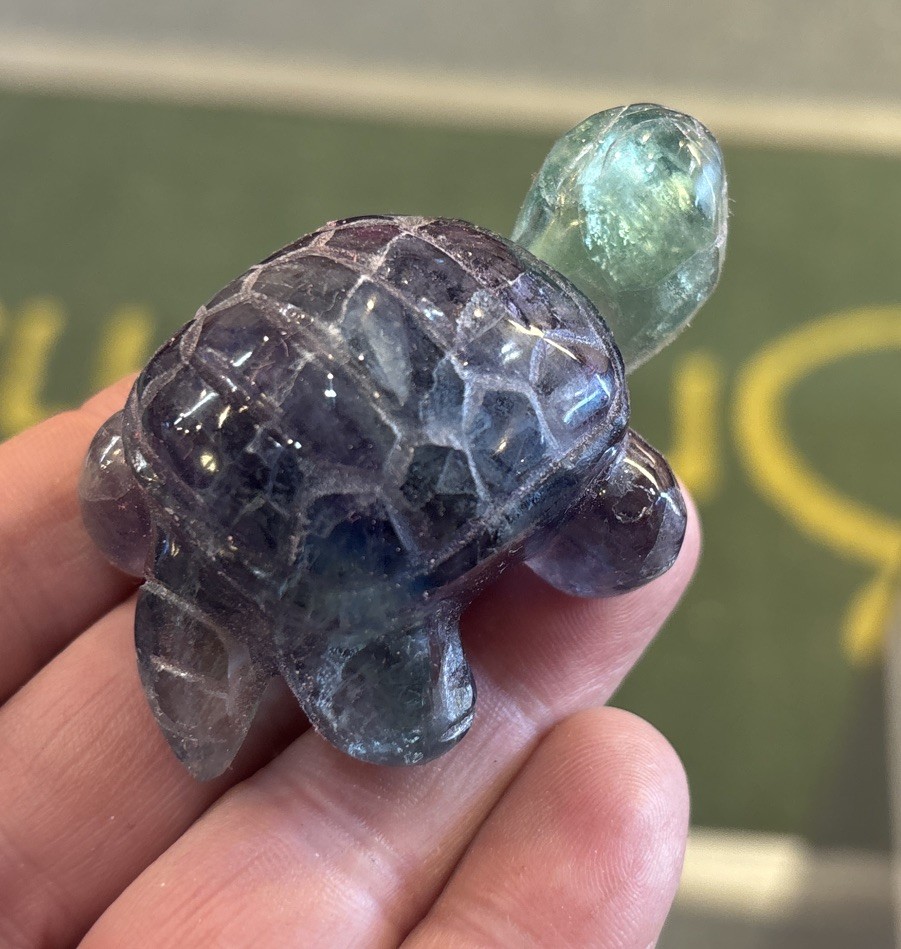 2 1/2” Fluorite Turtle Hand Carved 96.3 Grams