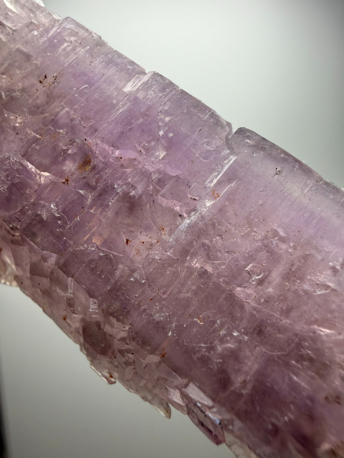 AMAZING Jacare Amethyst- Buridan’s Mule Claim, New Mexico- RARE PIECE!