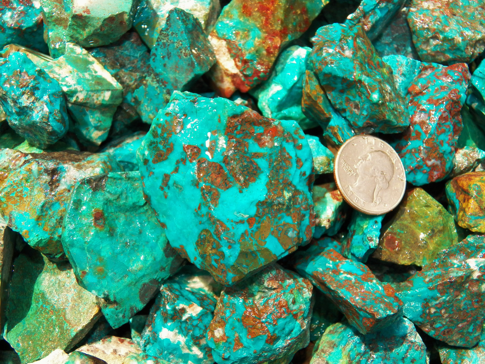 3000 Carat Lots of Chrysocolla & Turquoise Rough – Plus a FREE Faceted Gemstone