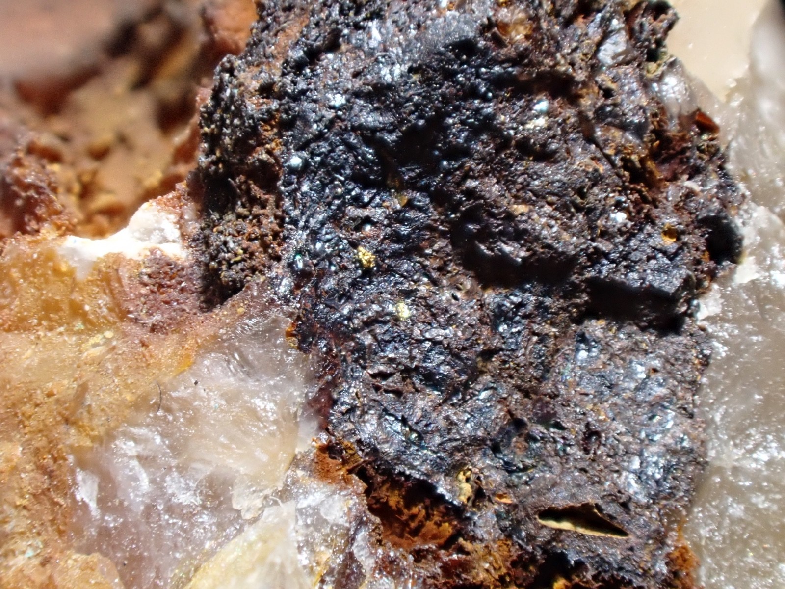 Native Gold on Limonite & Pyrite Capps Mine Mecklenburg Co North Carolina