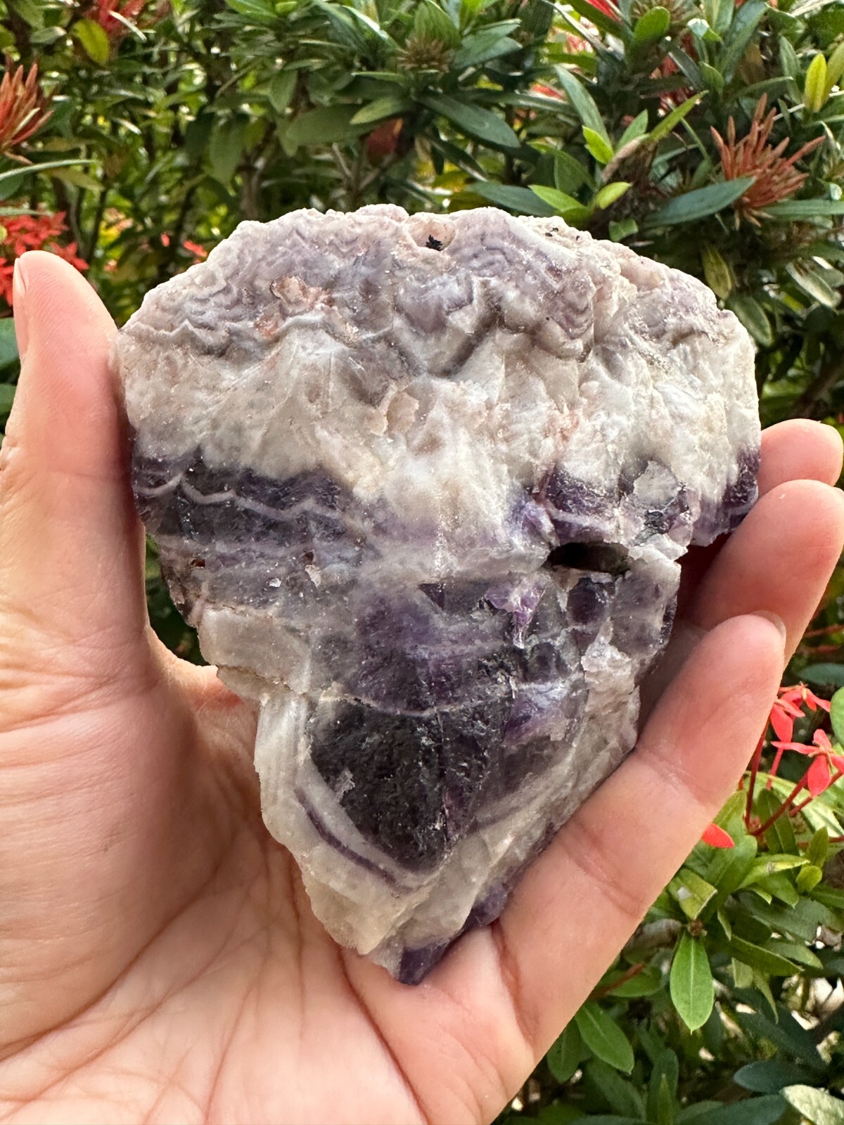 Extra Large Chevron Amethyst Rough Stone, 2″- 7″ Raw Chevron Amethyst Crystals