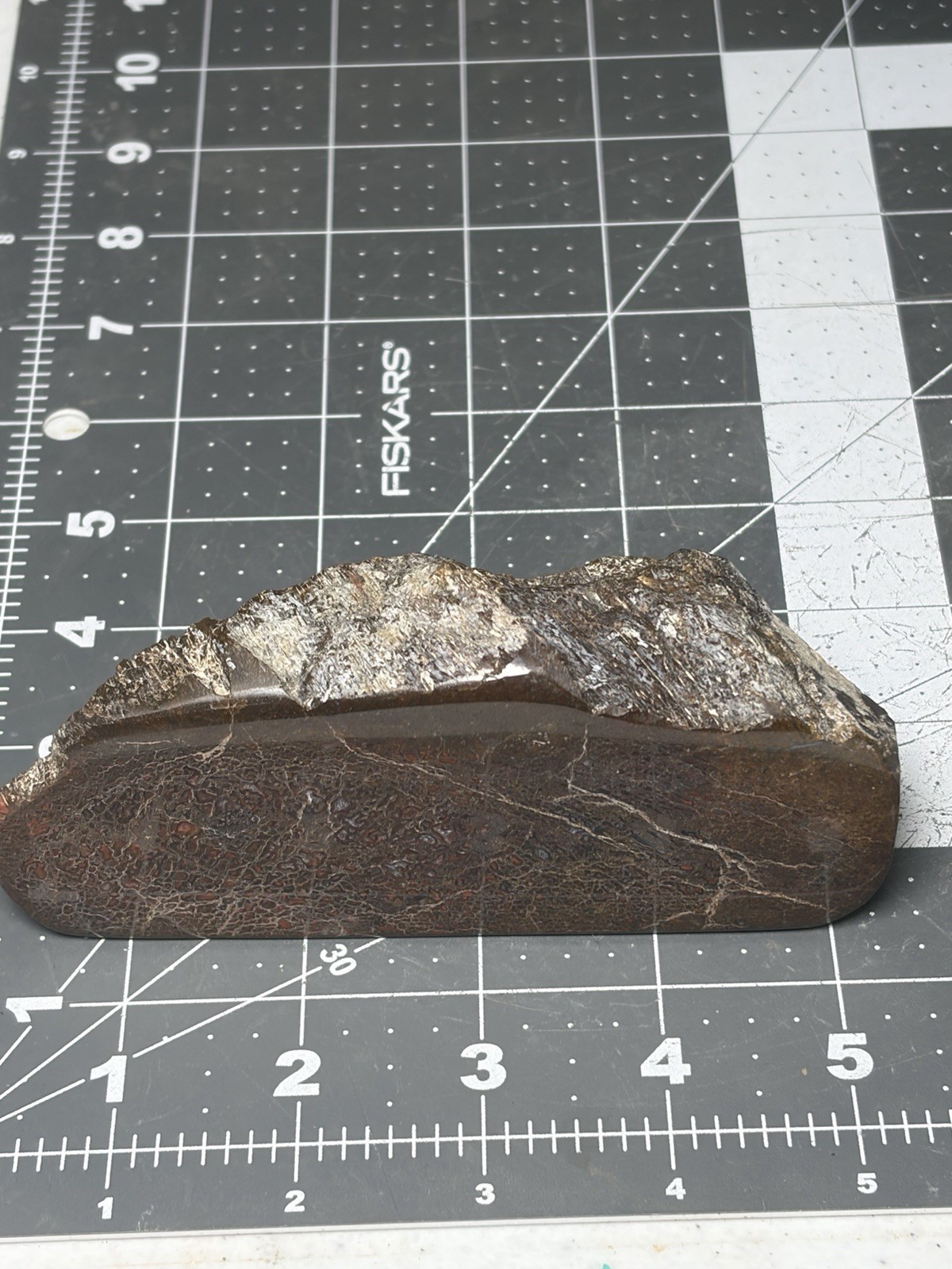 Agatized Dinosaur Gem Bone Polished Specimen Good Cell Structures Free Standing