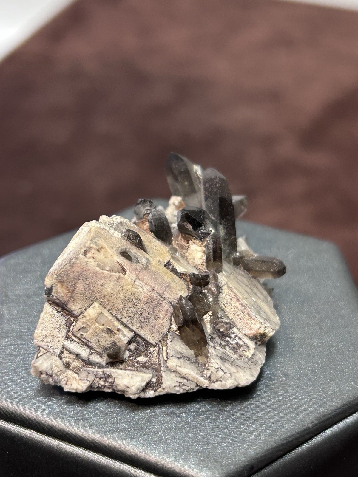 Smoky Quartz on Microcline Colorado Crystal Lined Pocket Miniature Mineral