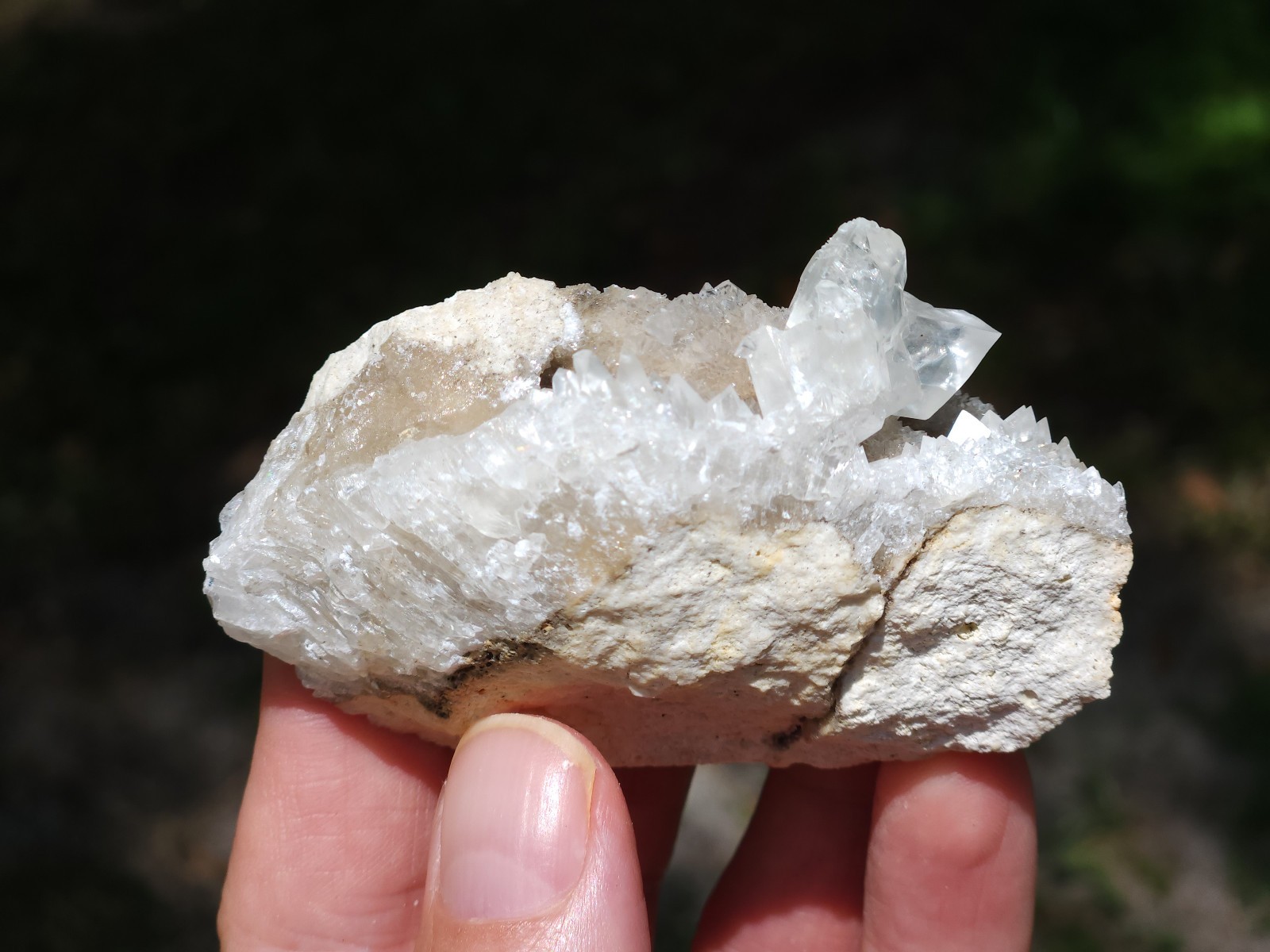 Florida Calcite Crystal Collection 5 pieces LOT Honey Clusters UV Mineral