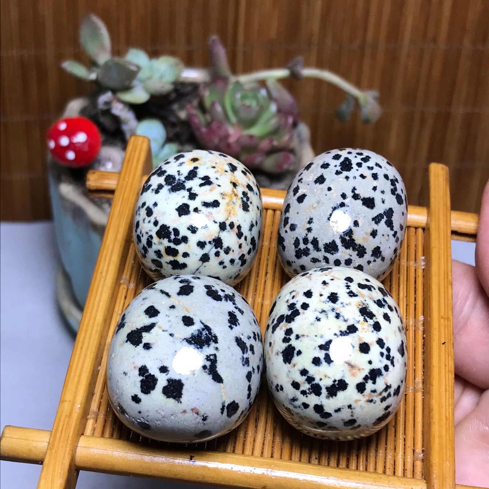 28-23-23mm 4Pcs Natural spotted stone Crystal gemstone Mineral Specimen A4404