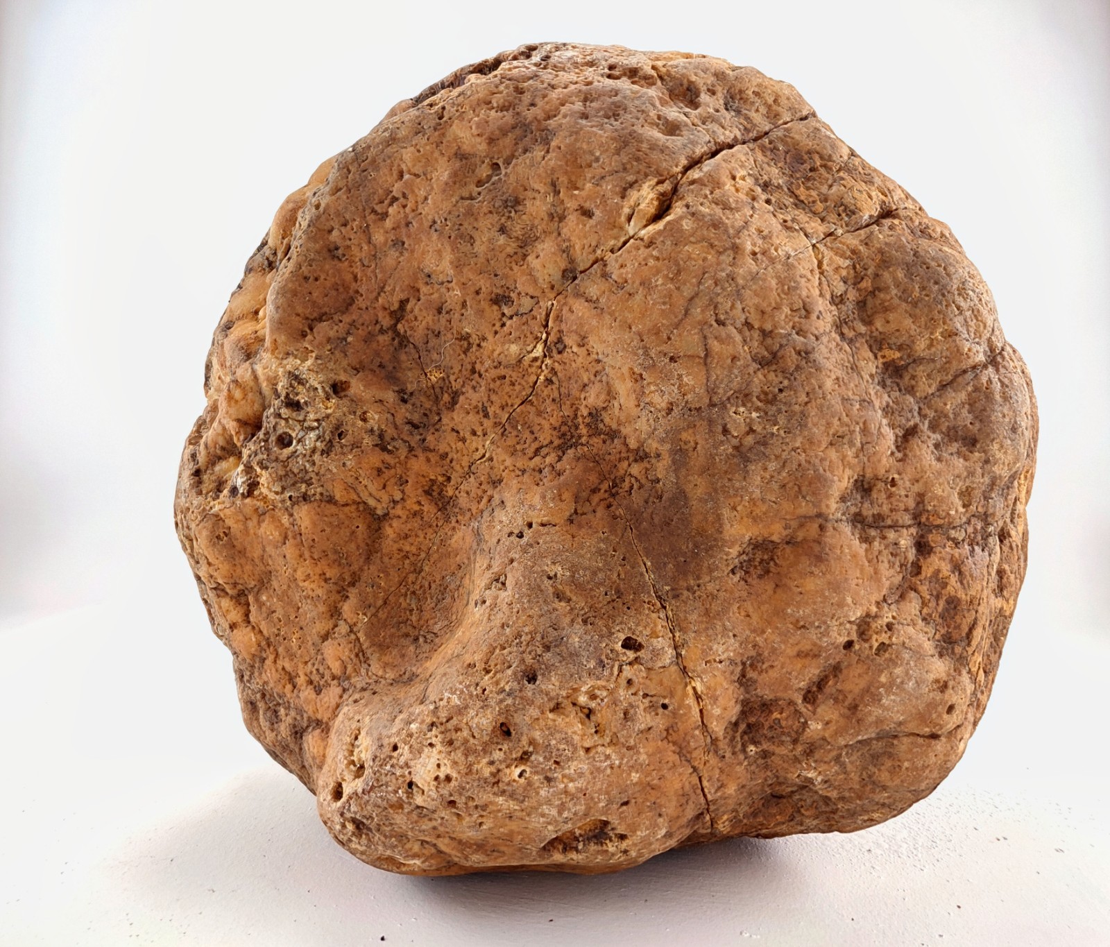 7″ Unopened Kentucky Geode Nodule Natural Quartz Crystal 6.8 LB Dense Specimen