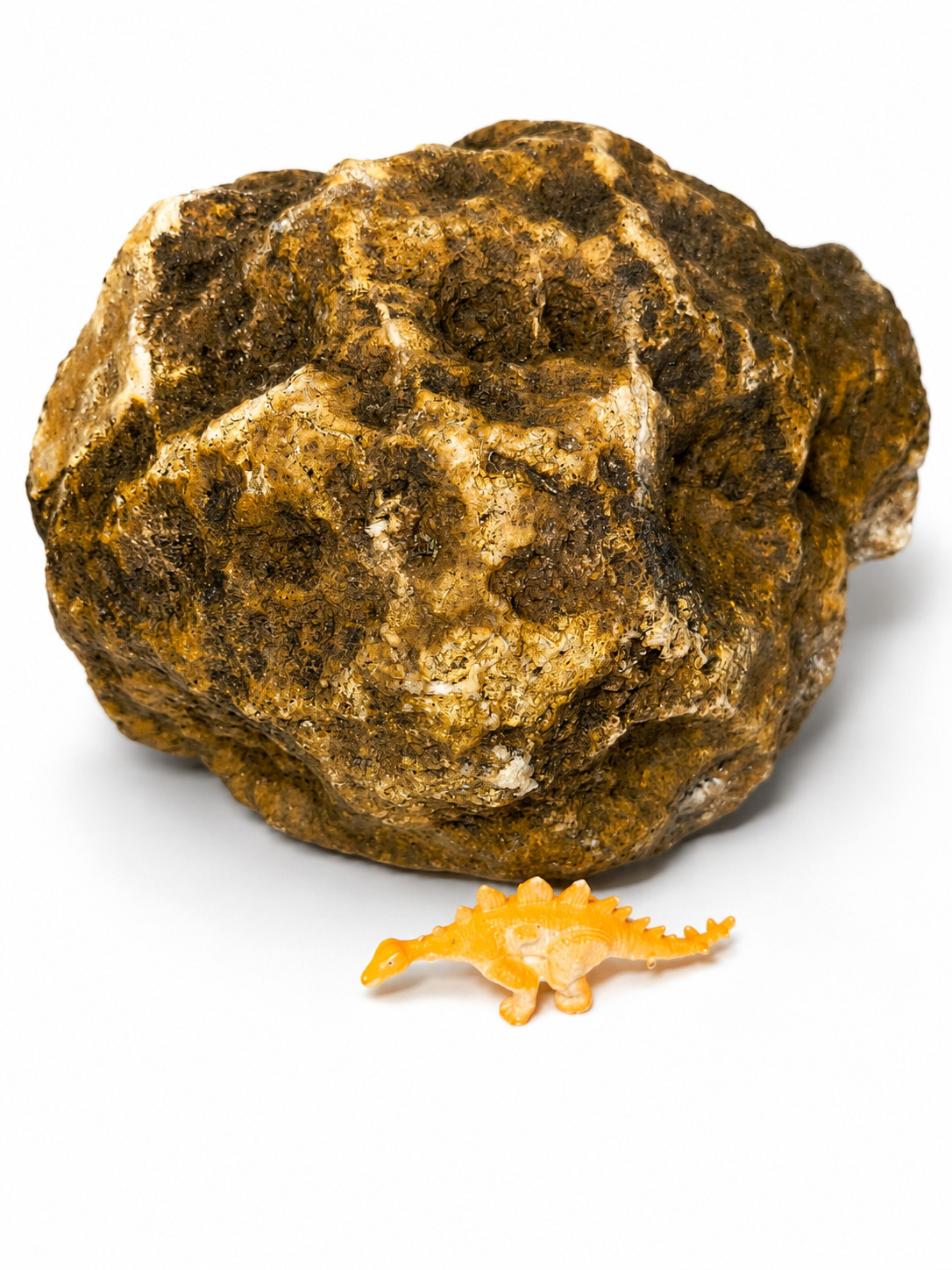 5 lb 3 oz Open KY Geode Golden Crystal Cavity Large Display Specimen Collectible
