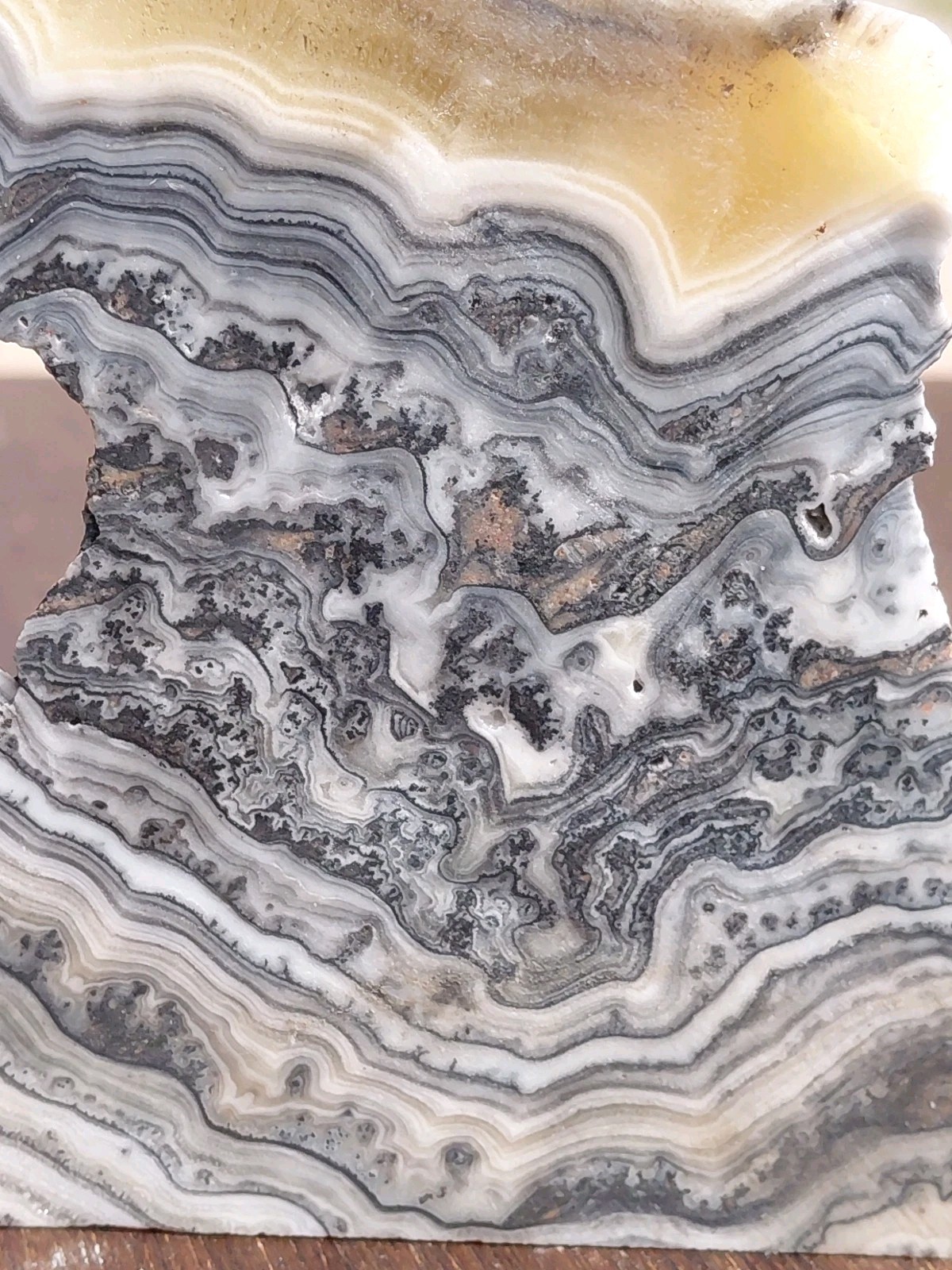Zebra Calcite Self-Standing Display Band Dendrite 3 3/4×4×1 1/4UVReactive 1/2 Lb