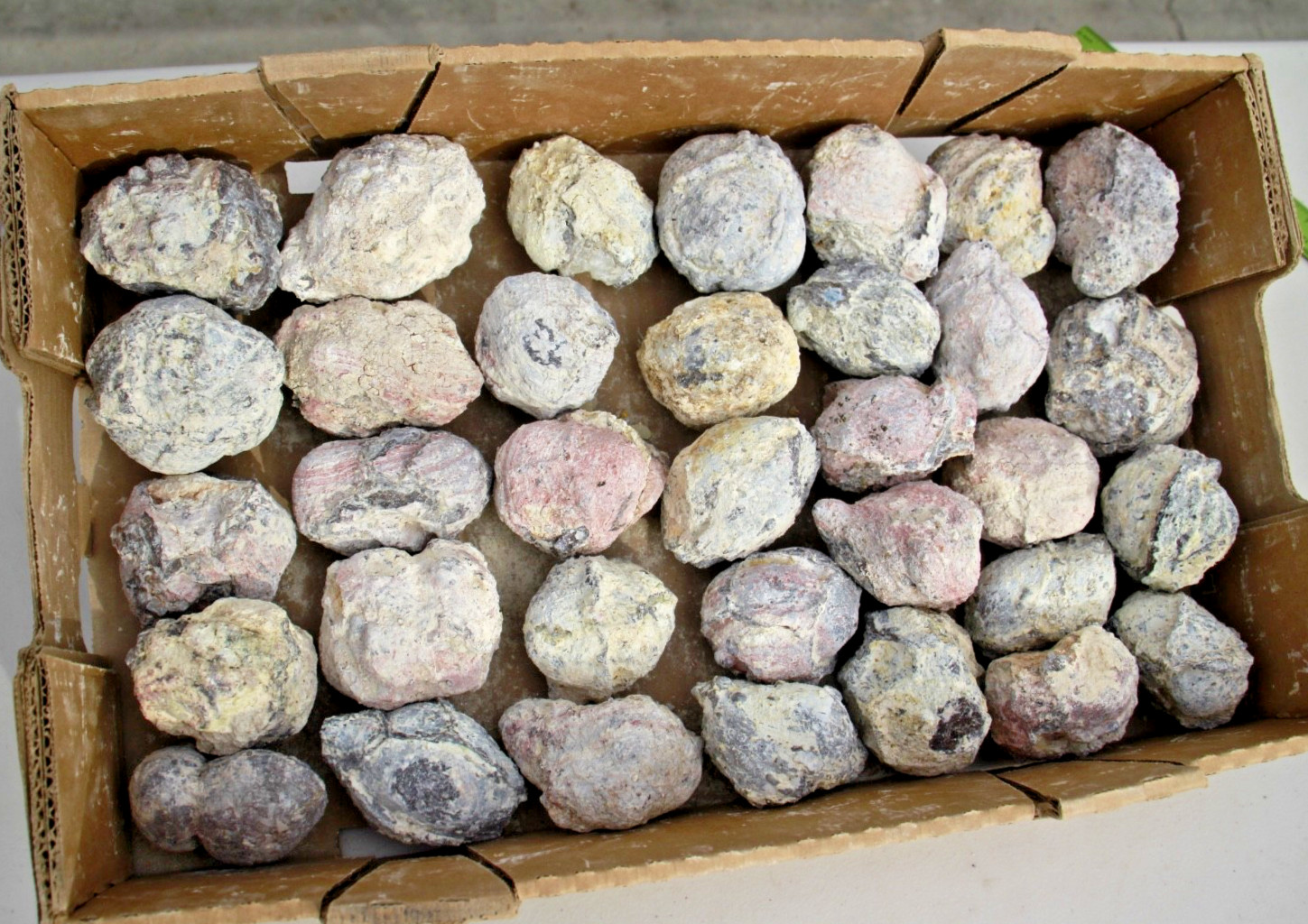 18lb. Box with 35 Whole Dugway Geodes • 2.0″ to 3.0″ diameter