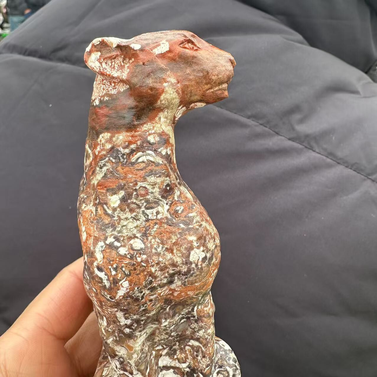 1pc Natural Money agate Quartz Carved Leopard Skull Crystal Reiki Healing Decor
