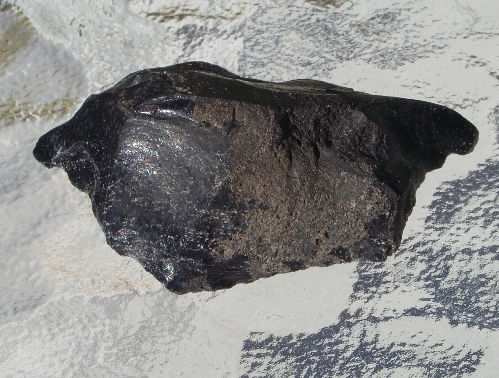 Raw Arizona Black Snowflake Obsidian Free Form Stone Medium 63mm 44 grams