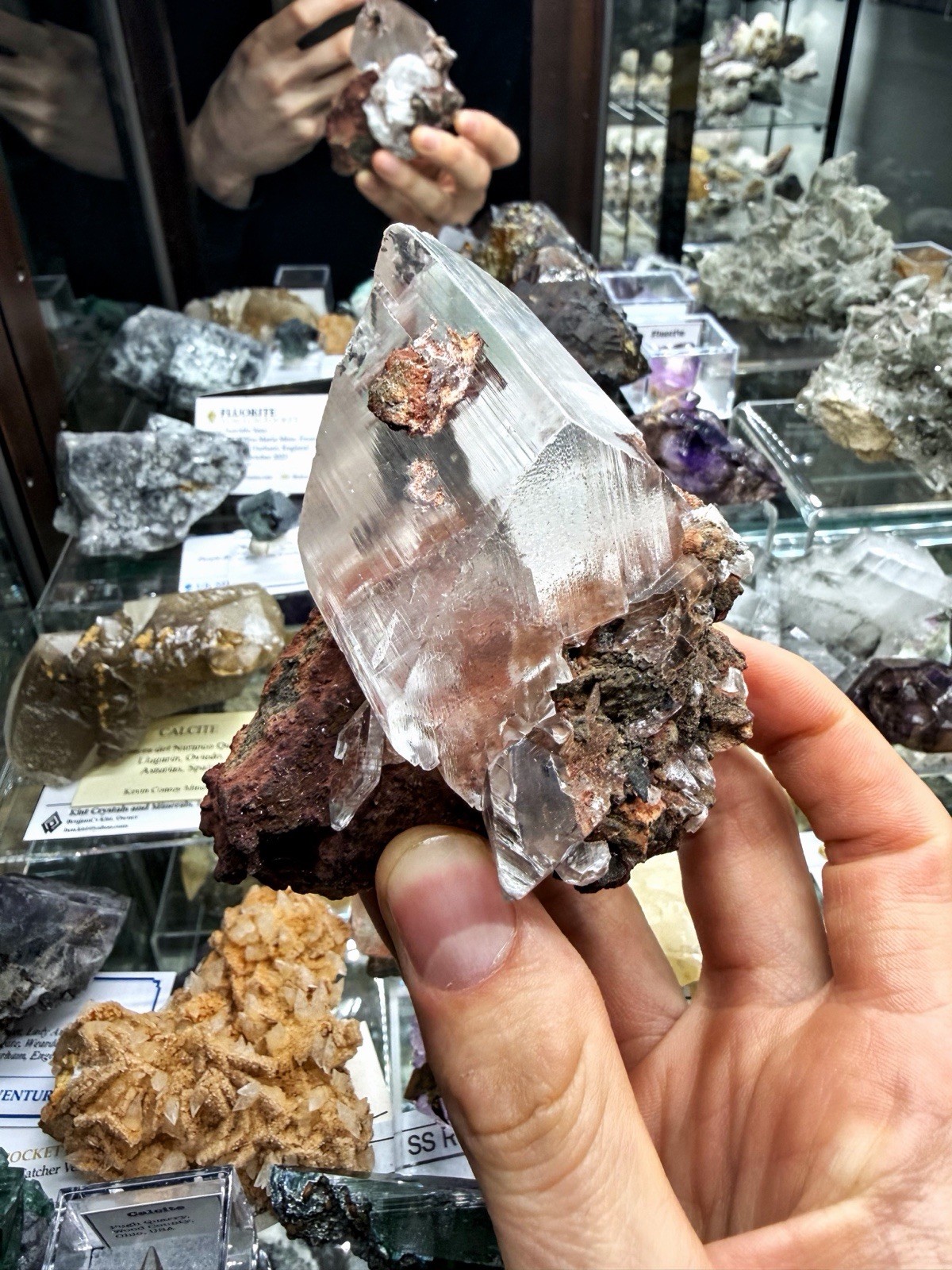 Gypsum Var. Selenite From Chihuahua, Mexico