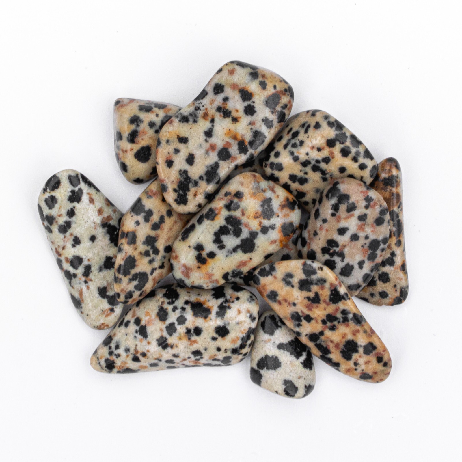 25g Tumbled Dalmatian Jasper Gemstone Crystals 10-20 Stones Bulk Gems Wholesale