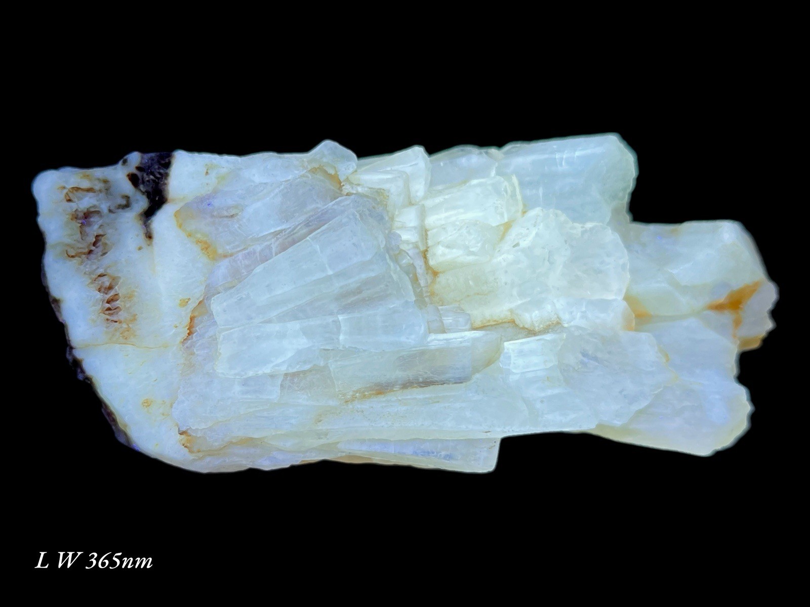 457 GM Beautiful Fluorescent Golden Aragonite Crystals Bunch from Khust