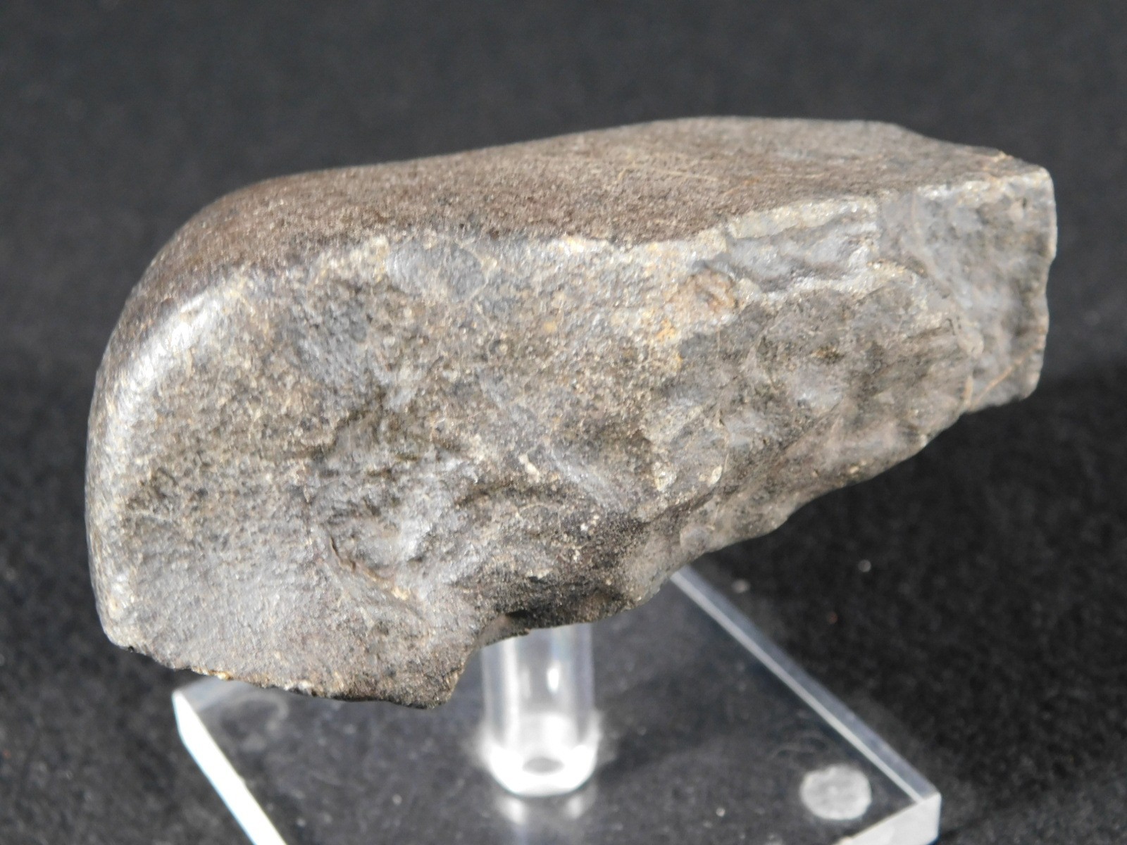wOw! Larger! Stony METEORITE with DARK Silky Fusion Crust! FELL in Libya 219gr