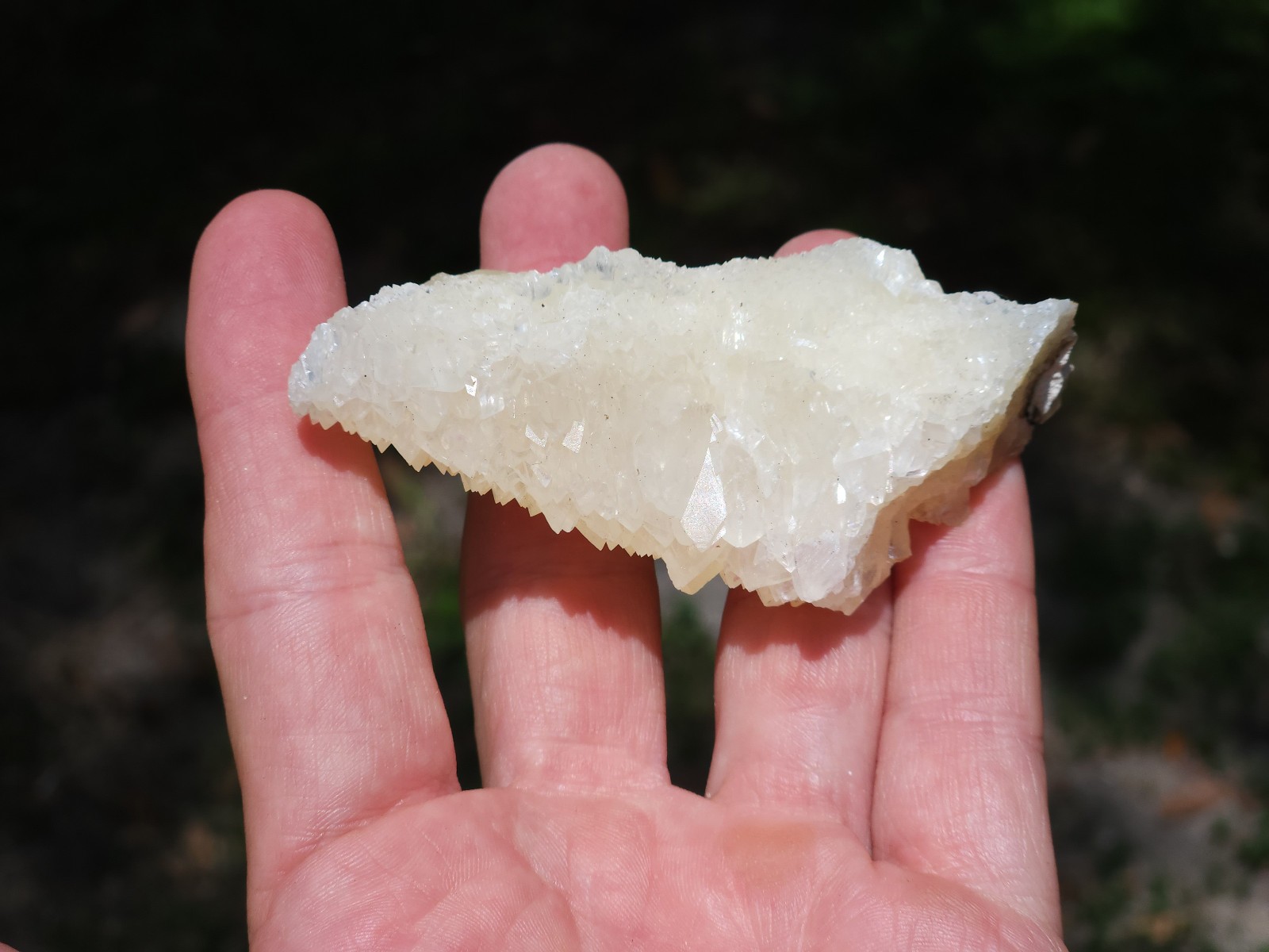 Florida Calcite Crystal Collection 5 pieces LOT Honey Clusters UV Mineral