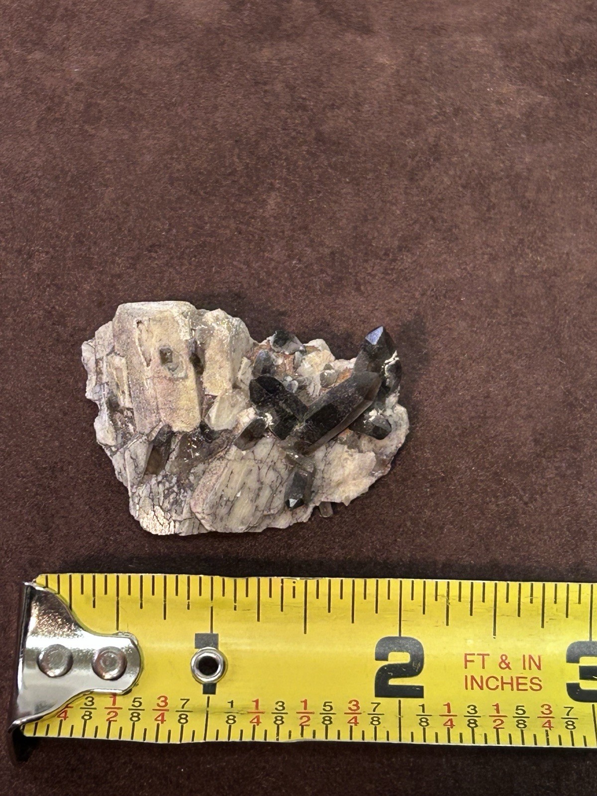 Smoky Quartz on Microcline Colorado Crystal Lined Pocket Miniature Mineral