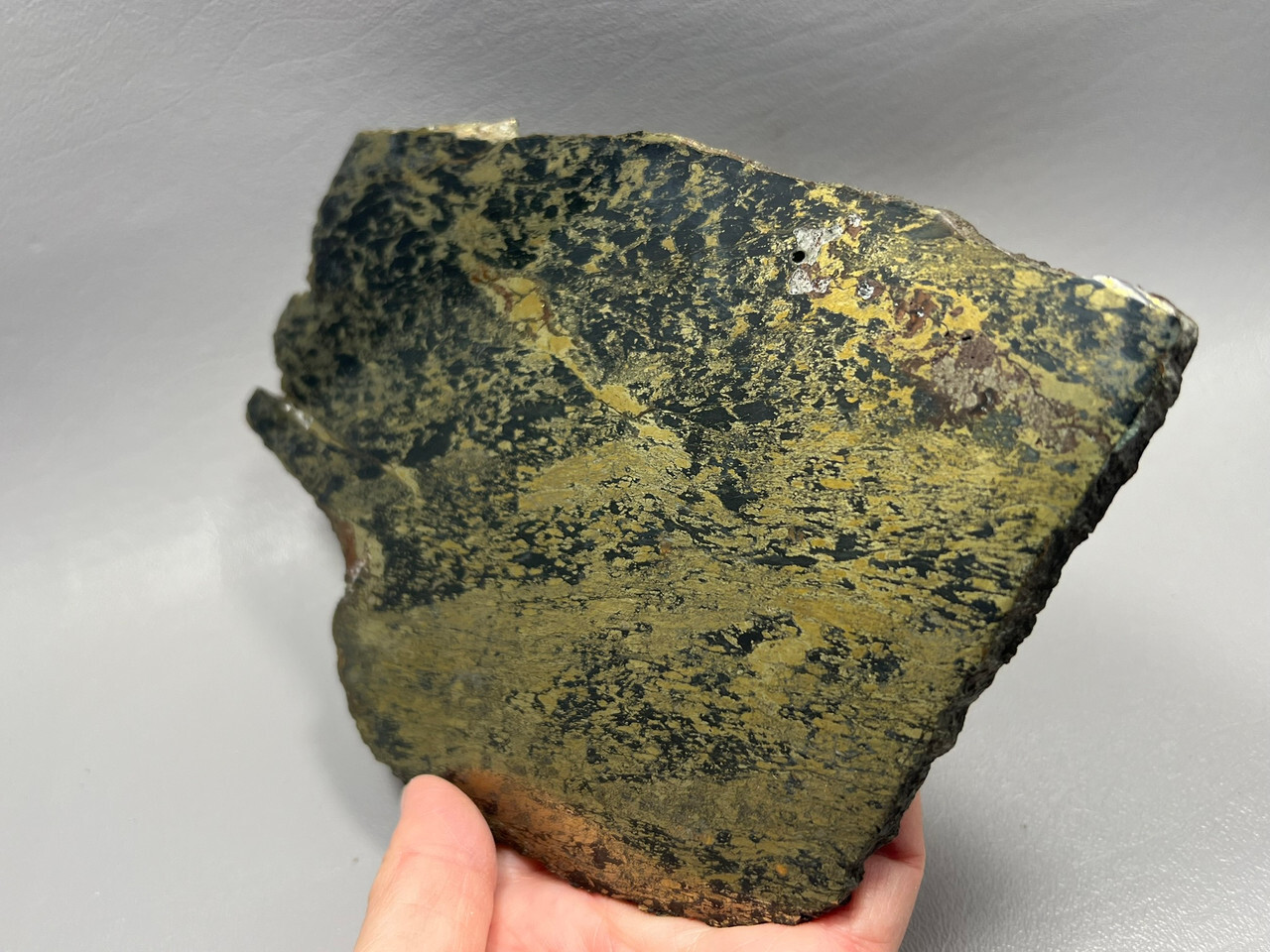 Apache Gold Polished Stone Slab Black and Gold Rock Jerome Arizona #O1
