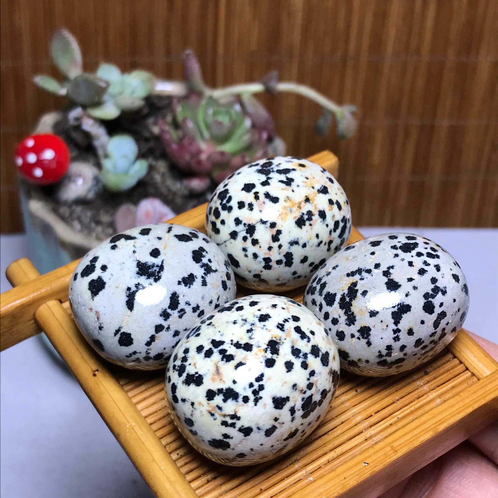 28-23-23mm 4Pcs Natural spotted stone Crystal gemstone Mineral Specimen A4404