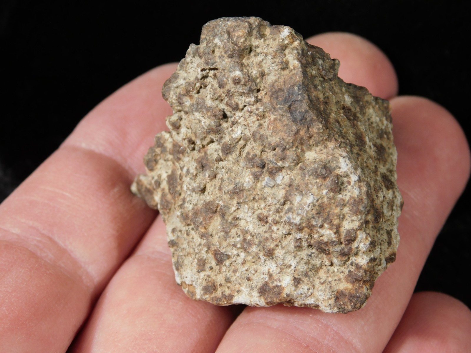 Classified NWA 8245 METEORITE 100% Natural FELL on Erfoud, Morocco 47.3gr