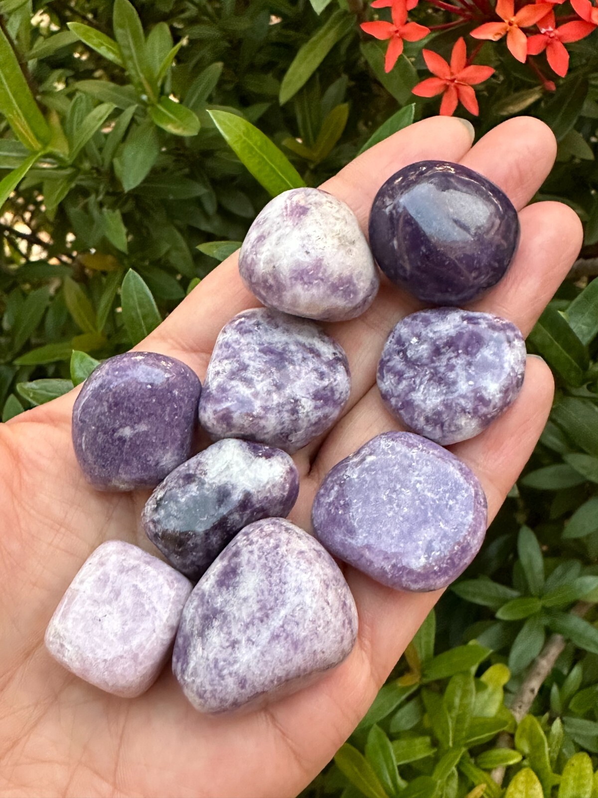 Grade A++ Lepidolite Tumbled Stones 0.75-1.25 Inch, Wholesale Bulk Lot