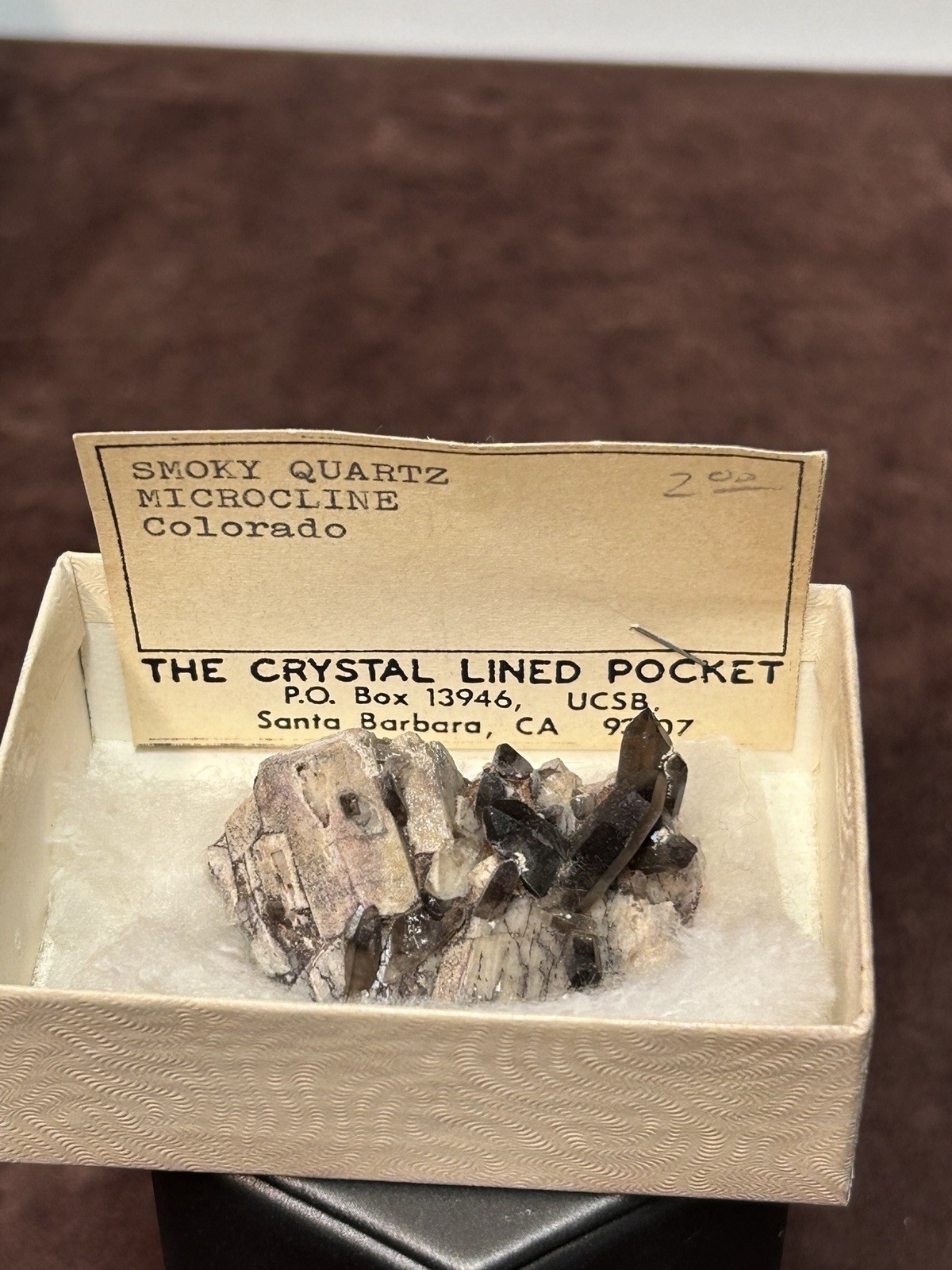 Smoky Quartz on Microcline Colorado Crystal Lined Pocket Miniature Mineral