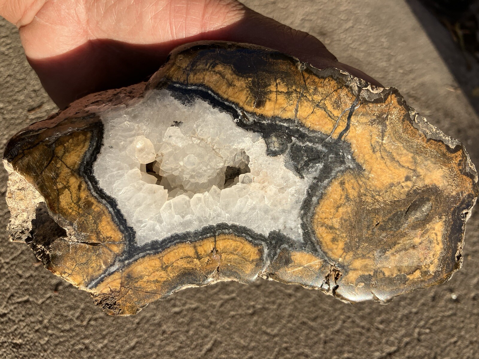Black And Gold Agate Slab (NM)